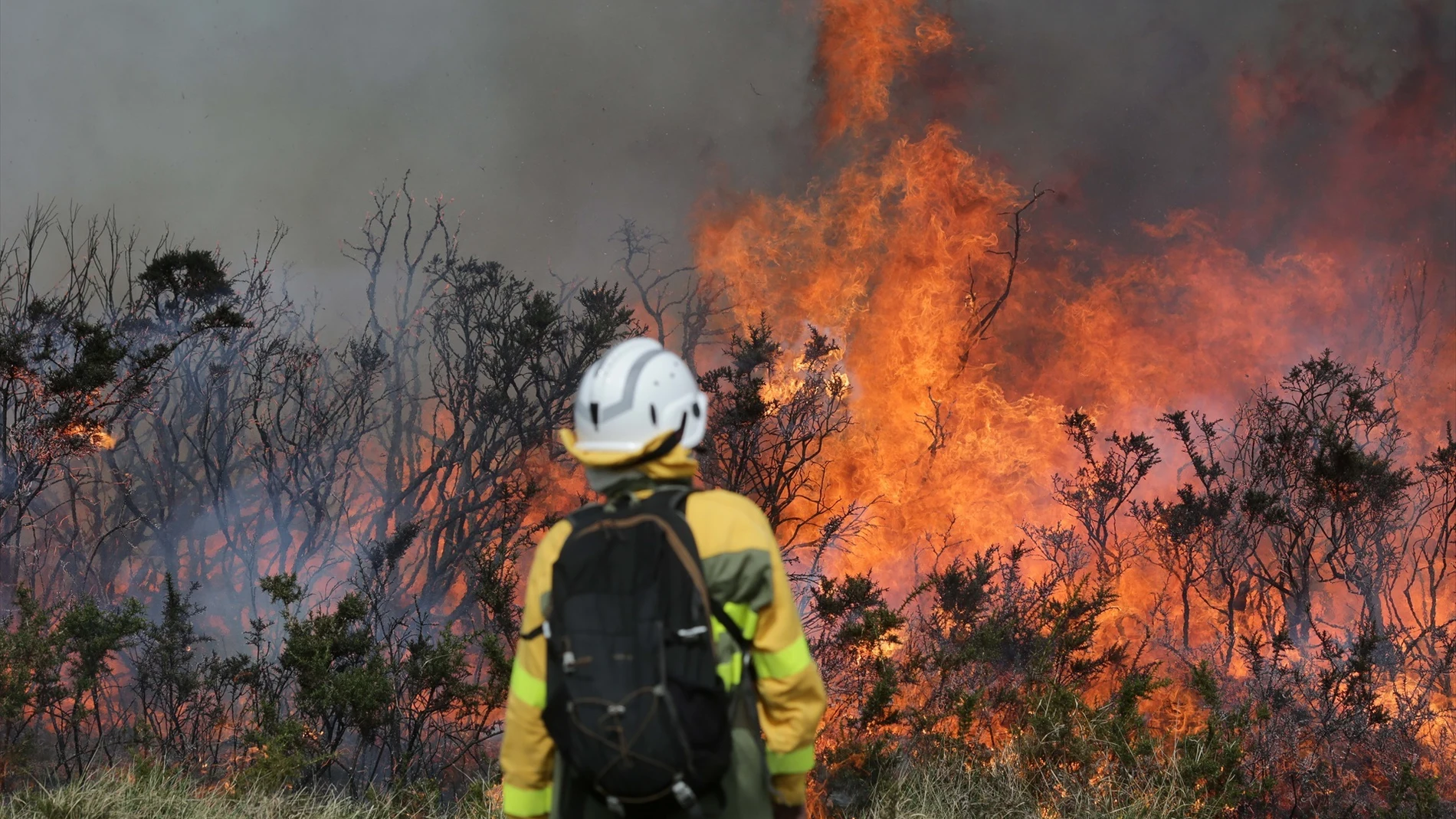 ¡Alerta en Colombia! Hay incremento de incendios de incendios forestales en 2024 LA U FM CALI