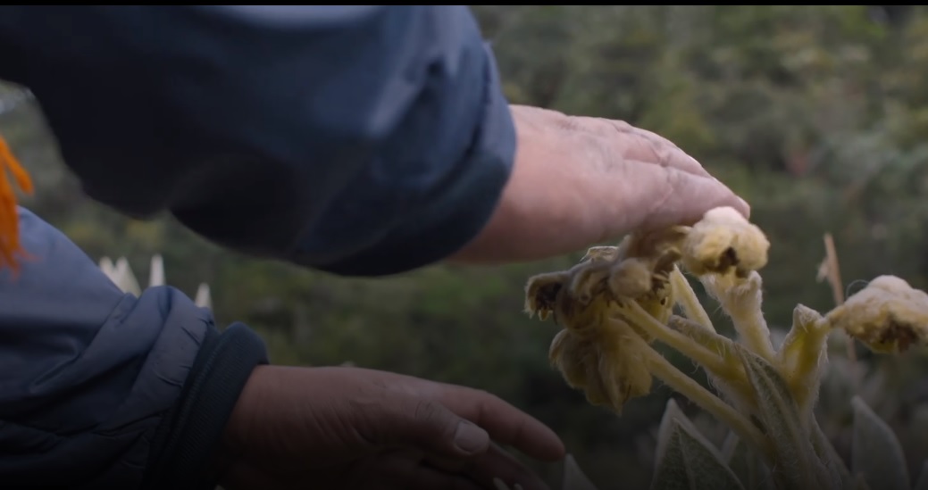'Páramos: La siembra del agua': gana en el Festival Santiago Wild