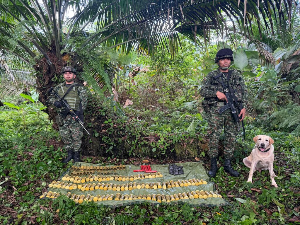 Ejército ubica depósito ilegal con 252 explosivos artesanales en zona rural de Tumaco, Nariño
